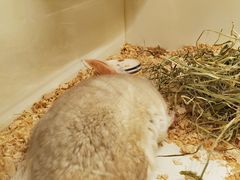 -龙猫仔乐园(惠福东路店)