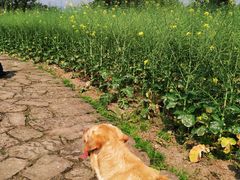 -驿舍·民國老营房院子私房菜(科学会堂店)