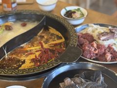 -小志家.鲜牦牛肉牛杂火锅野生菌汤锅