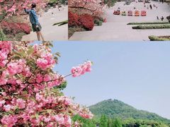 -杭州少年儿童公园