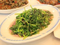 -锦江中华村农家乐饭庄