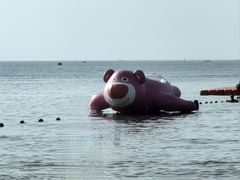 -金海滩海水浴场