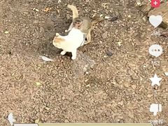 -昆明动物园