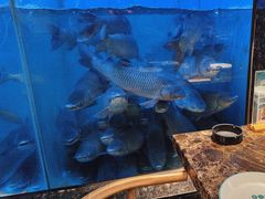 -鱼粤鲜淘米捞·中山脆肉鲩火锅(悦湖会店)