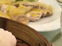 -满福隆酒楼(万绿园店)