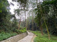 -黄埔油麻山森林公园