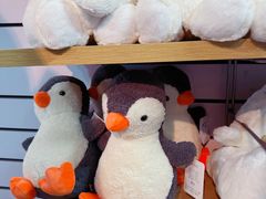 -上海海洋水族馆