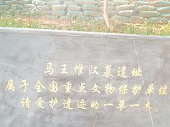 -马王堆汉墓遗址