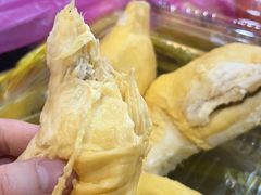 -东兴口岸-中越友谊大桥