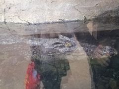 -哈尔滨波塞冬海底世界
