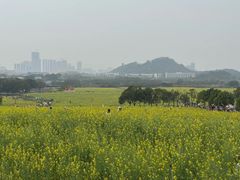 -光明小镇欢乐田园