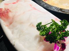 -味舵主不改良老火锅(杨舍老街店)