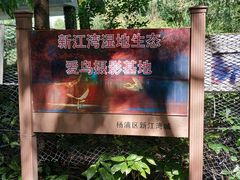 -新江湾城公园