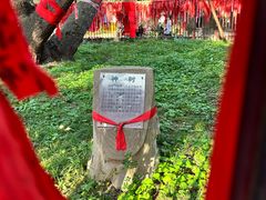 -北陵公园