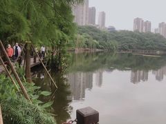 -重庆彩云湖湿地公园
