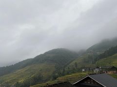 -紫鹊界梯田景区