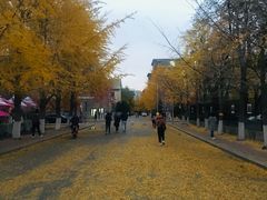 -辽宁大学(崇山校区)