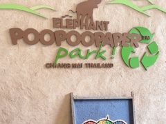 -大象粑粑造纸公园