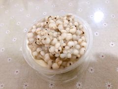 薏米双皮奶-老周记顺德双皮奶