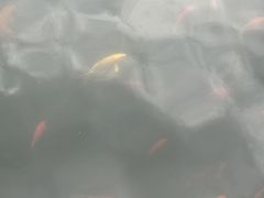 -天真蓝照相馆(宁波来福士店)