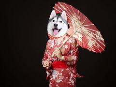 -WR·薇瑞摄影