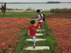 -武清南湖绿博园