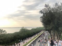 -宝安西湾红树林湿地公园