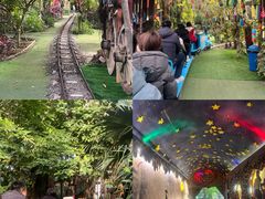 -呀路古热带植物园