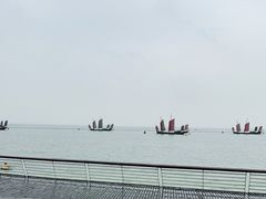 -贡湖湾湿地公园