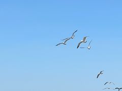 -盛江山自助料理(奥莱锦辉购物广场店)