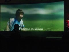 效果-枫花园汽车电影院(朝阳公园店)