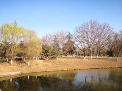 -西安浐灞国家湿地公园