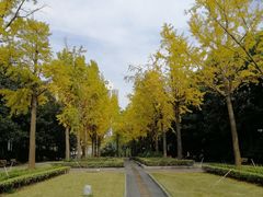 -苏州河梦清园环保主题公园