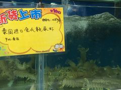 -蚝专家(北滘店)