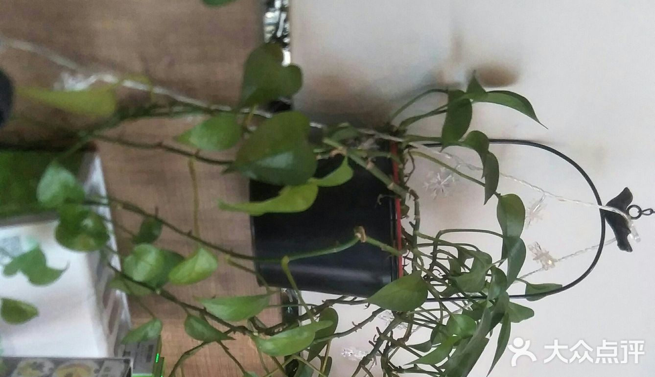 在市六人民医院后面，一条人流量不是很大的柳州路上