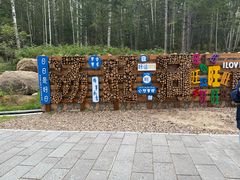 -汤旺河林海奇石景区