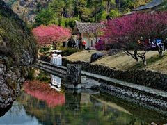 -温州永嘉书院