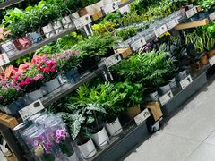 -鹿岛生活(熙地港店)