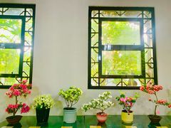 -上海醉白池公园