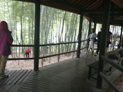 -陶祖圣境风景区