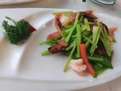 -云中小雅