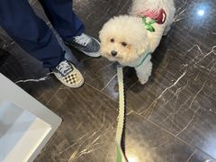 -宠颐生斯嘉宠物医院·急重症·心内科(谷阳北路分院)