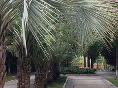 -苏州河梦清园环保主题公园