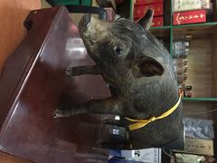 从江香猪美食-香猪美食(中心店)