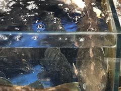 -香满居张记小厨私房菜(青岛站店)
