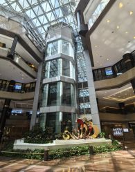 -新锦江大酒店·宴会厅·婚宴