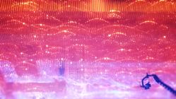 -武汉富力威斯汀酒店·宴会厅