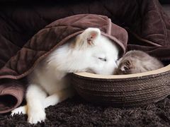 -赢吧Bliss音乐酒吧