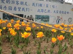 -祥源·阜阳生态乐园