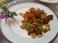 -丁老爷子苏香圆